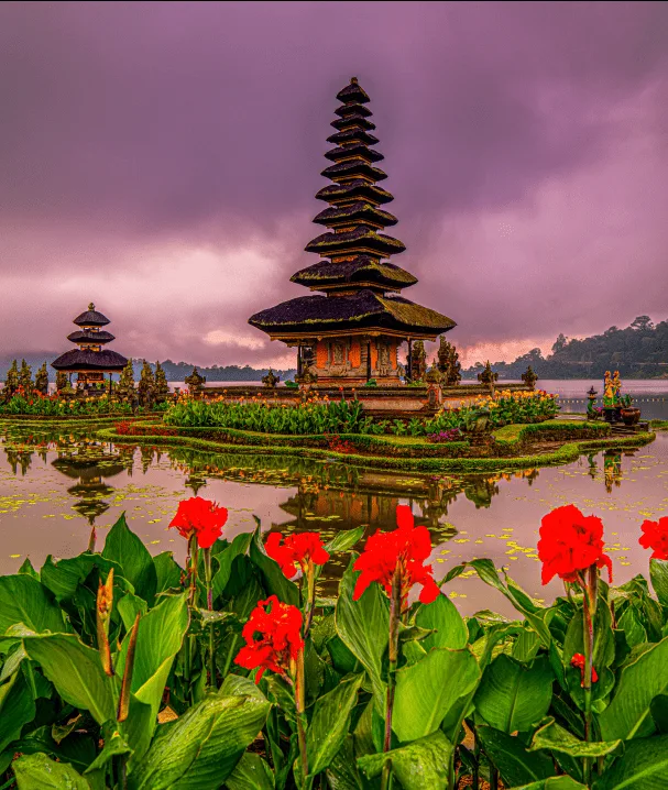 Bali PMA Company